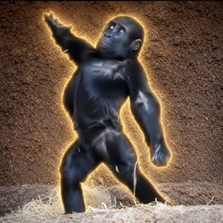 Mobi The Gorilla