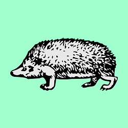 Hedgehood Price Prediction