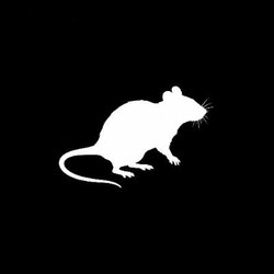 Rattery Experiment