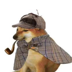 pipedog (PIPEDOG) Tokenomics