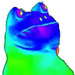 Froink Qiymət Proqnozu