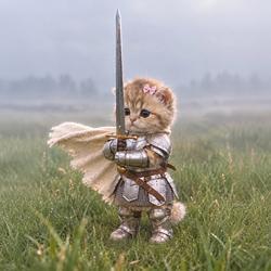 Knight Cat Logo