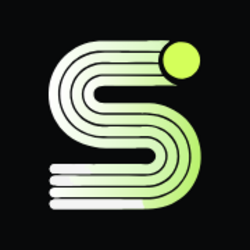 SurplusLLM Logo