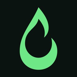 torch Price Prediction