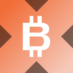 Wrapped Bitmine xStock Logosu