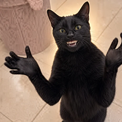 Clapping Cat Logo