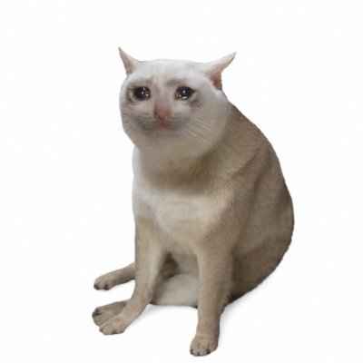 CASHCAT/USDT