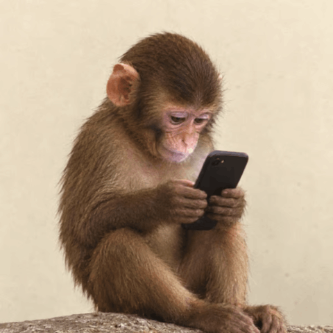 FONE/USDT